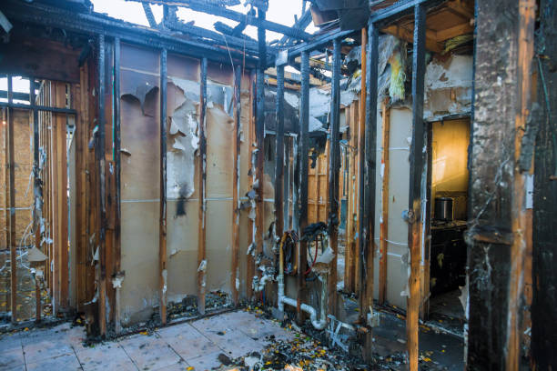 Professional Fire Damage Repair technician working in Stevenson, MD